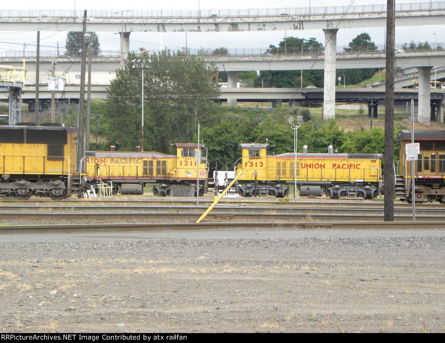 UPY 1313